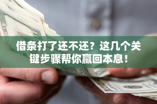 武汉借条打了还不还？这几个关键步骤帮你赢回本息！