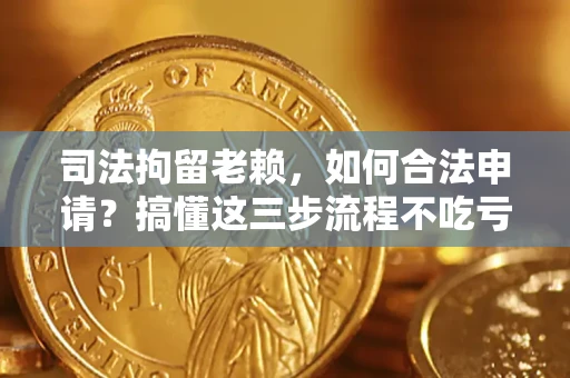 武汉司法拘留老赖，如何合法申请？搞懂这三步流程不吃亏！