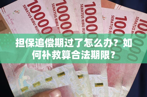 武汉担保追偿期过了怎么办？如何补救算合法期限？