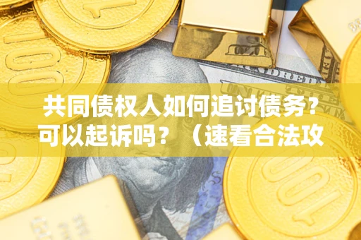 武汉共同债权人如何追讨债务？可以起诉吗？（速看合法攻略）
